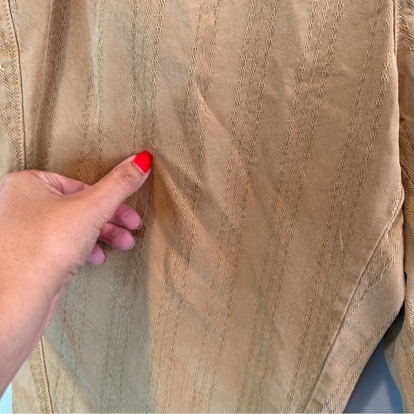 Anthropologie Scout Slim Pleated Pants Size 28 Tan Brown Embroidered Stripes - Picture 3 of 10